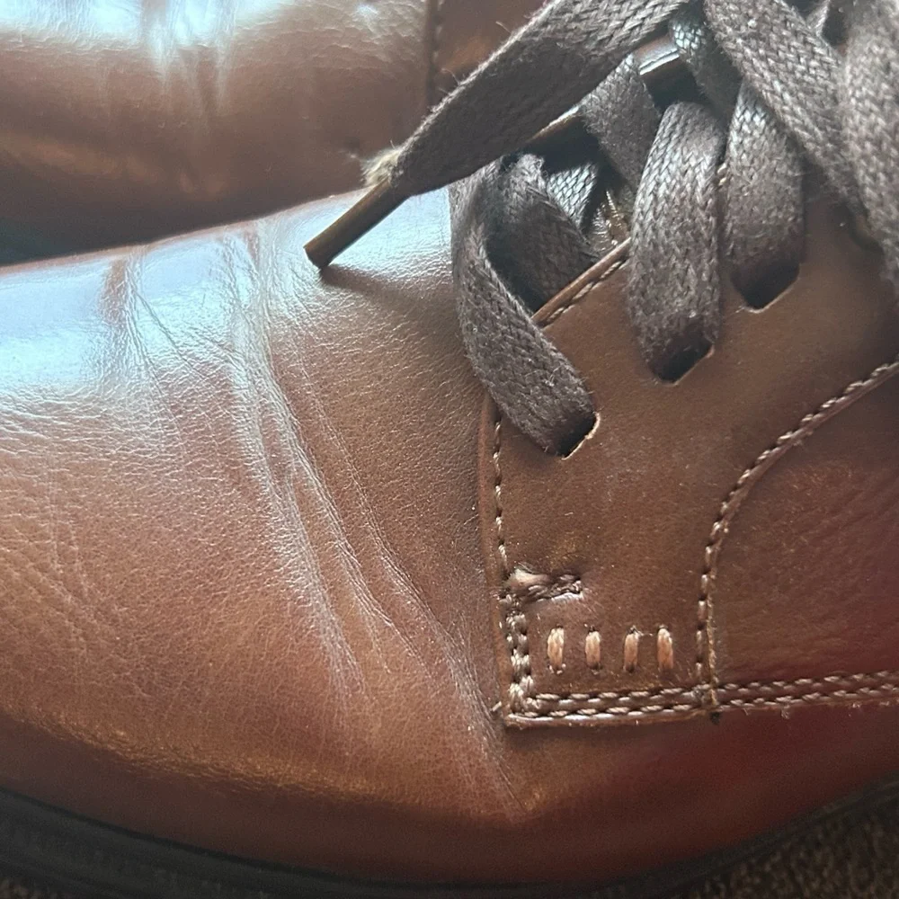 Deer stags brown boy dressing shoes